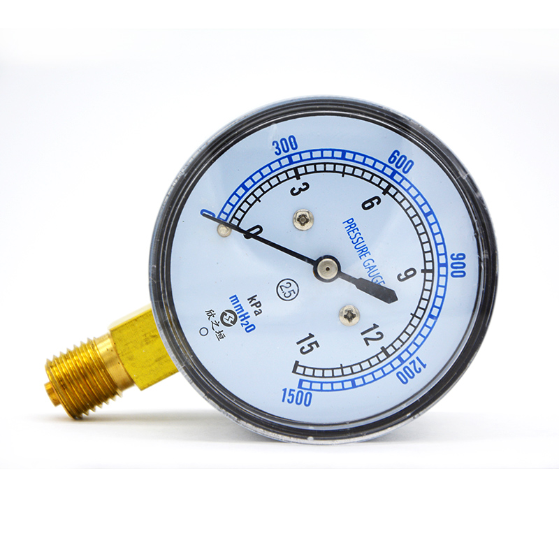 Pressure gauge