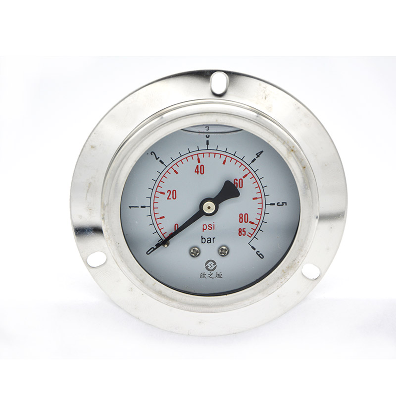 Pressure gauge